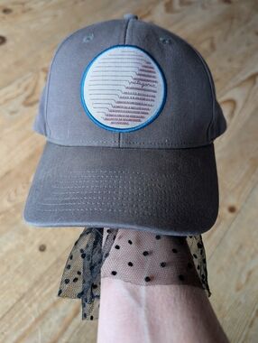 Patagonia | Accessories | Patagonia Spoonbill Cap Hat | Poshmark